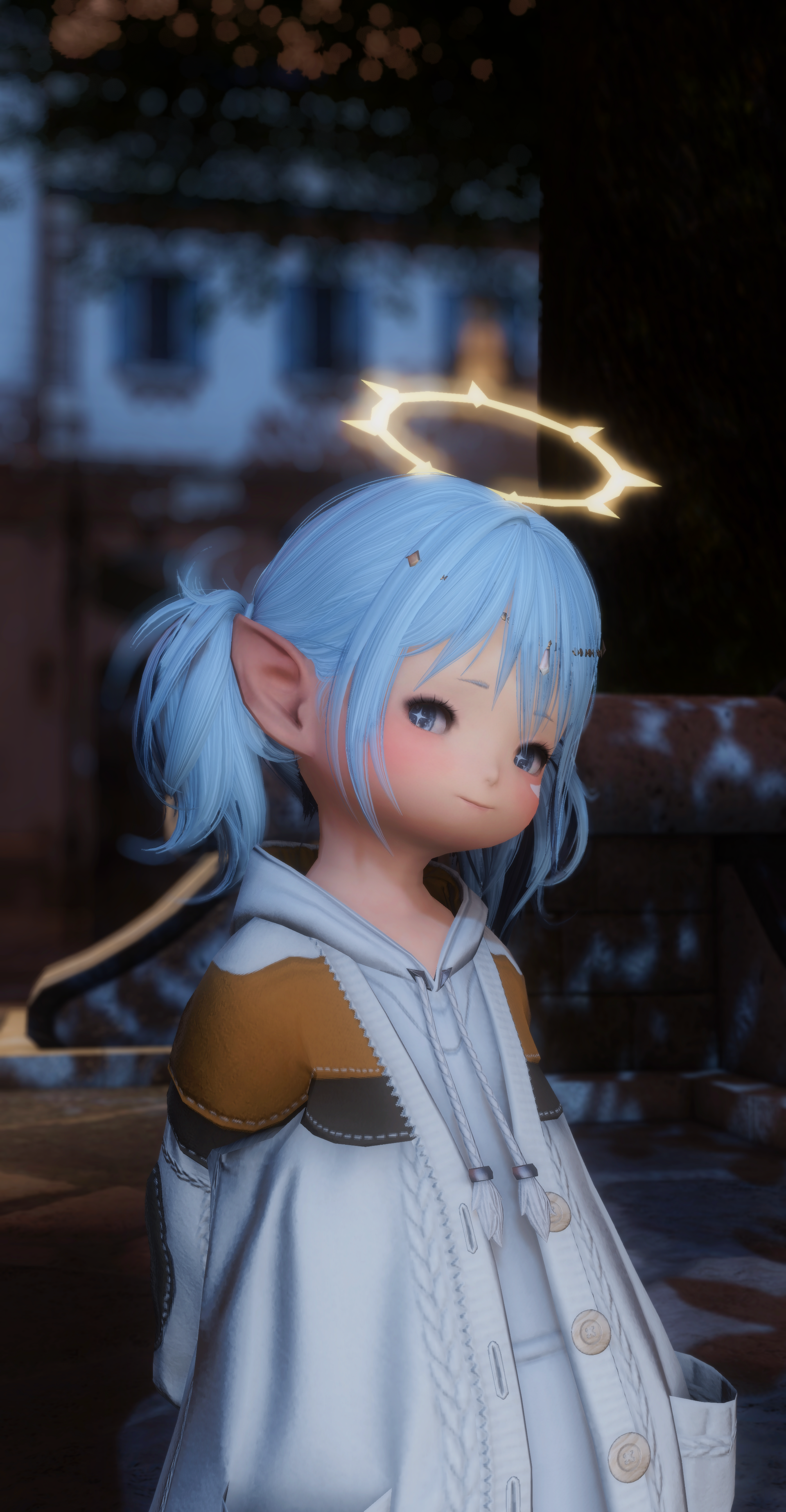 ffxiv_dx11_2025-01-22_20-17-34.png