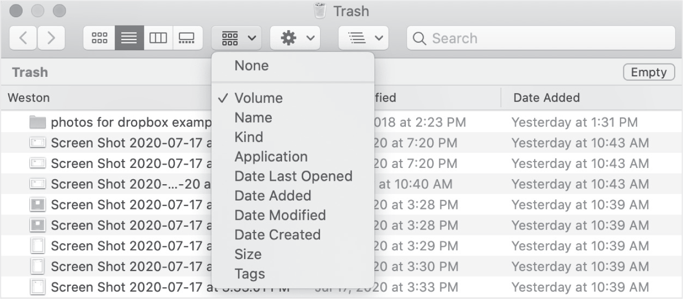 FIG. 6.8 Synergistic composition of the trash and folder concepts. Items can be sorted by “date added,” which corresponds to the date of deletion, elegantly reusing a general feature of folders. The sorting into volumes is a more troubled feature, since it applies only to the trash folder.